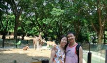 长隆野生动物园游记