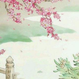 我爱的雨