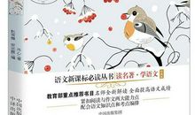 《细腻如繁星，温婉如春水》_900字