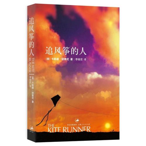 关于阅读《风筝追赶者》 _800字的思考