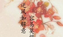 如花美眷，似水流年_1000字