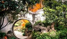 院子里的秋天_350字