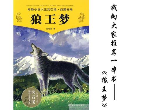 狼王的梦-悲剧性梦900字