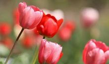 你顽强攀爬的样子真美