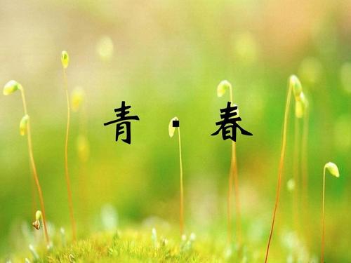 青年