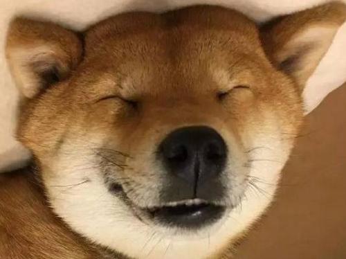 嘴角稍微升高