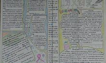 世界艾滋病日手抄报：为艾创爱_20字