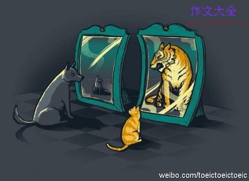 猫咪照片哈哈镜