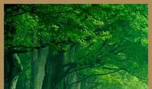 真正对手不是别人，而是自己_1000字