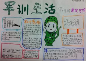 军事训练组成：军事训练推荐（2）_350字