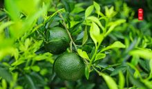 与困难一起前行