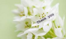 人间的真挚_1200字