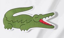 懂你,老爸_1000字