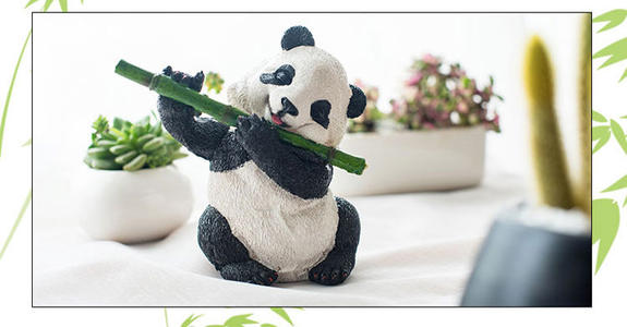 热情的熊猫商店经理