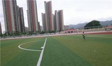 美丽的大操场_750字