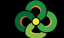 输给了我的对手_250字