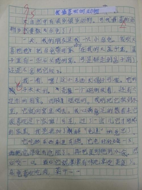我最喜欢的voice_400个单词