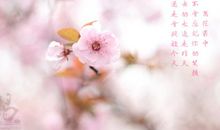 致我们生如夏花的人生