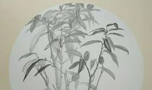 追忆，浮云落在心上