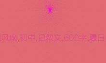 夏日_600字