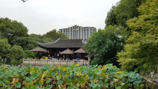 在桂花公园旅行