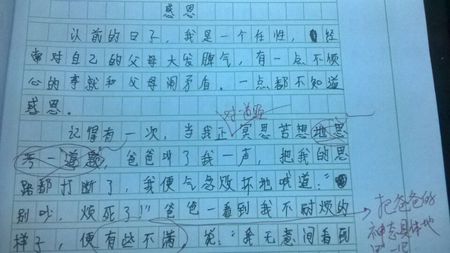 孝道组成：忠诚和孝道_800字