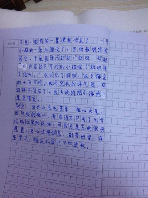 Diary_1200字