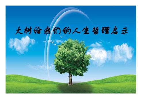 抬头看着树的构图