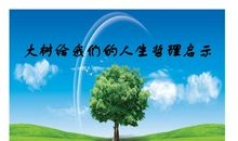 以仰望大树为题的作文