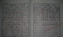 描写小乌龟的作文