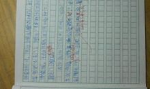 家乡的改变_700字