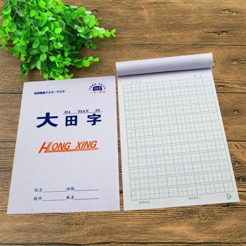 忘了带作业_600字