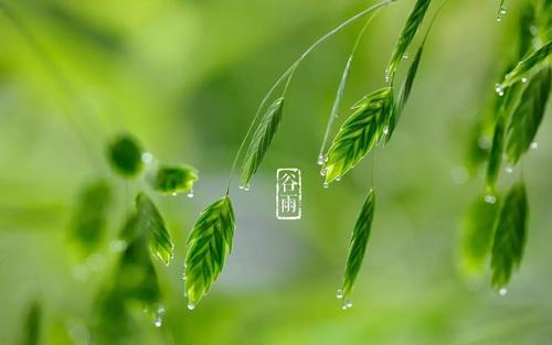 在初夏，毕业临近