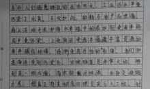 描写胖大海的作文