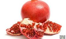 介绍石榴的作文