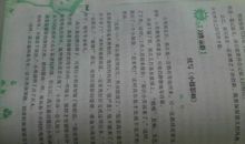 《小摄影师》续编_250字