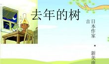 续编《去年的树》_450字