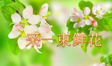 续写《一束鲜花》_250字