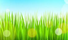 生机勃勃的春天