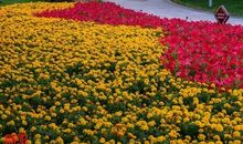 美丽的人民公园