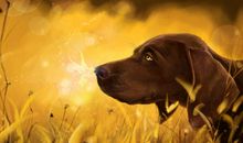 午后阳光暖暖地香_900字