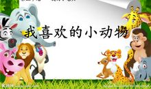 我喜欢的动物