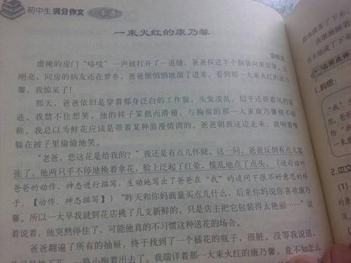 关于家庭关系的构成：父亲的爱_750个单词