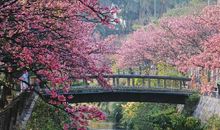 美丽的海曙公园