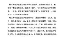 欢乐的家庭_450字