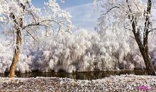 关于冬天的作文：那季冬天，不舍之念_1500字