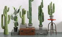 仙人掌礼赞_700字