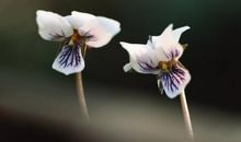 被忽略的牵挂_1200字