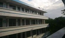 真希望这是一场梦(五年级)_350字