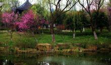 临皋亭外逢别君_3000字